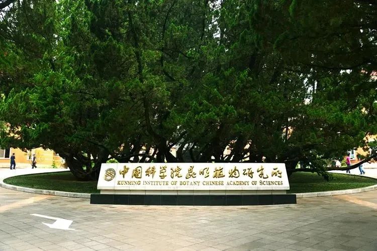 “和你沒完